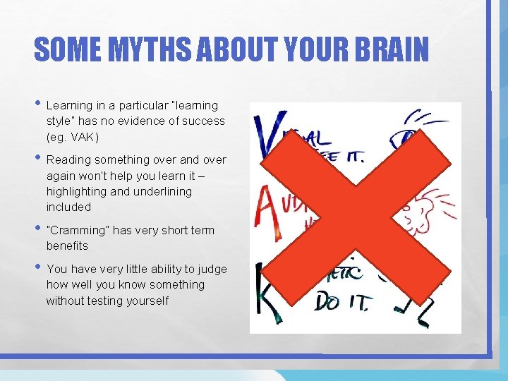 SOME MYTHS ABOUT YOUR BRAIN • Learning in a particular “learning style” has no