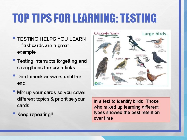 TOP TIPS FOR LEARNING: TESTING • TESTING HELPS YOU LEARN – flashcards are a