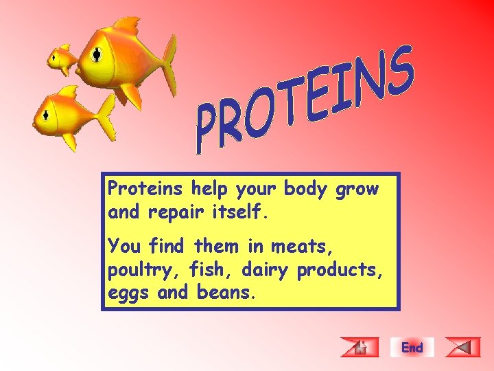 Proteins help your body grow and repair itself. You find them in meats, poultry,