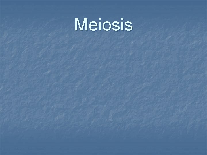 Meiosis 