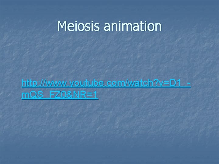 Meiosis animation http: //www. youtube. com/watch? v=D 1_m. QS_FZ 0&NR=1 