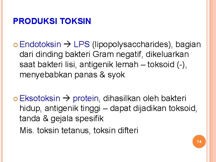 PRODUKSI TOKSIN Endotoksin LPS (lipopolysaccharides), bagian dari dinding bakteri Gram negatif, dikeluarkan saat bakteri