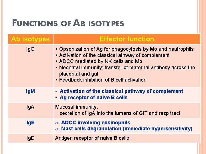 FUNCTIONS OF AB ISOTYPES Ab isotypes Effector function Ig. G § Opsonization of Ag
