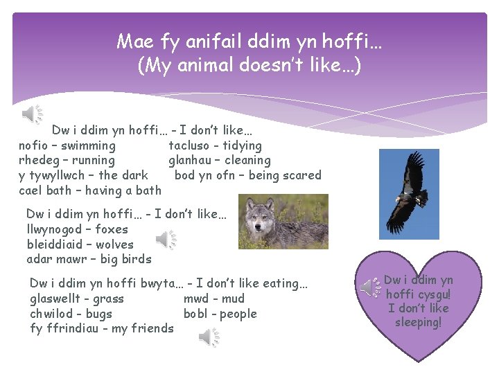 Mae fy anifail ddim yn hoffi… (My animal doesn’t like…) Dw i ddim yn