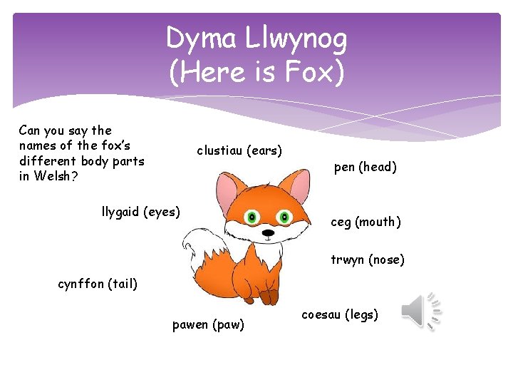 Dyma Llwynog (Here is Fox) Can you say the names of the fox’s different