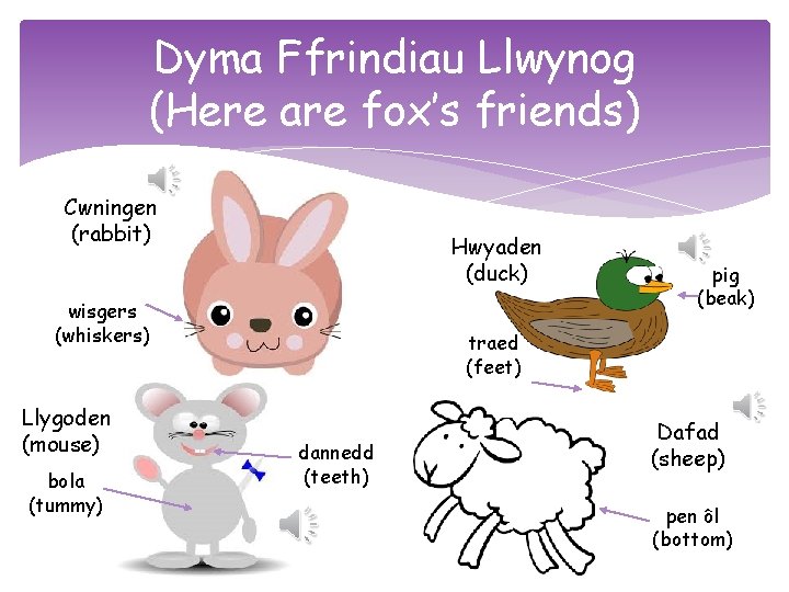 Dyma Ffrindiau Llwynog (Here are fox’s friends) Cwningen (rabbit) Hwyaden (duck) wisgers (whiskers) Llygoden