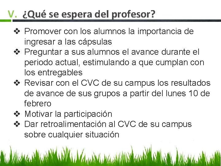 V. ¿Qué se espera del profesor? v Promover con los alumnos la importancia de