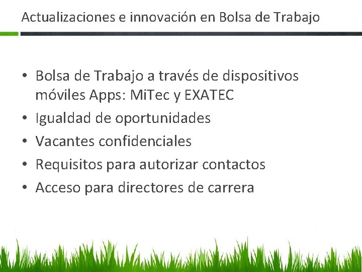 Actualizaciones e innovación en Bolsa de Trabajo • Bolsa de Trabajo a través de