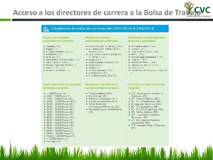 Acceso a los directores de carrera a la Bolsa de Trabajo 