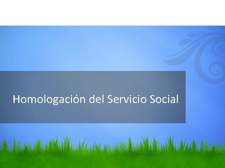 Homologación del Servicio Social 