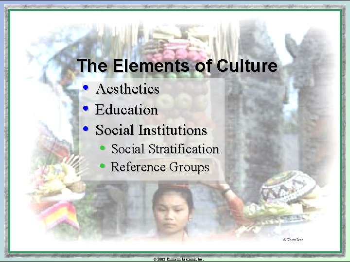 The Elements of Culture • Aesthetics • Education • Social Institutions • Social Stratification