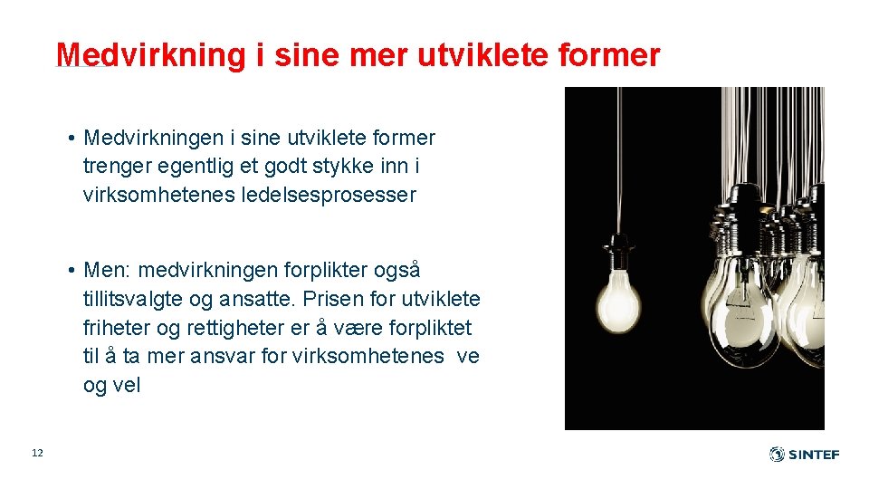 Medvirkning i sine mer utviklete former • Medvirkningen i sine utviklete former trenger egentlig