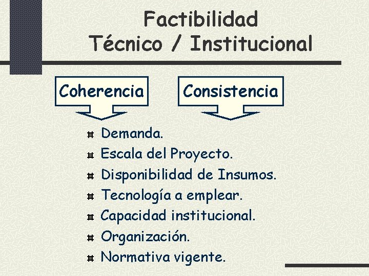 Factibilidad Técnico / Institucional Coherencia Consistencia Demanda. Escala del Proyecto. Disponibilidad de Insumos. Tecnología