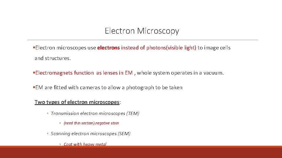 Electron Microscopy §Electron microscopes use electrons instead of photons(visible light) to image cells and