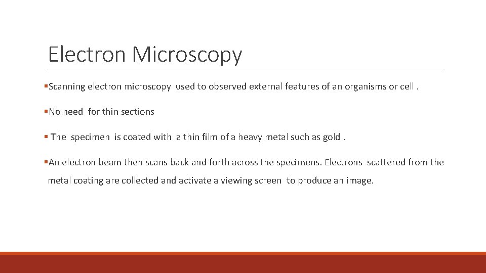 Electron Microscopy §Scanning electron microscopy used to observed external features of an organisms or