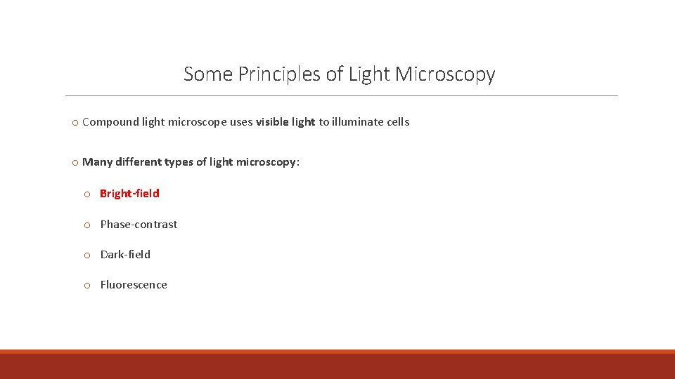 Some Principles of Light Microscopy o Compound light microscope uses visible light to illuminate