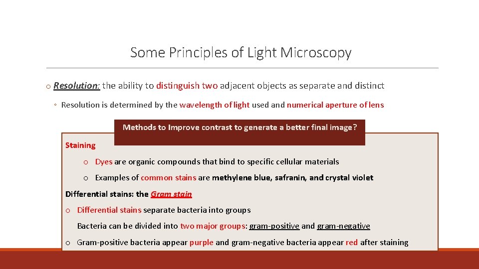 Some Principles of Light Microscopy o Resolution: the ability to distinguish two adjacent objects