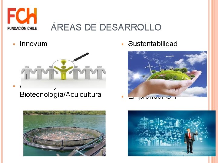 ÁREAS DE DESARROLLO § Innovum § Sustentabilidad § Alimentos y Biotecnología/Acuicultura § Emprende. FCH