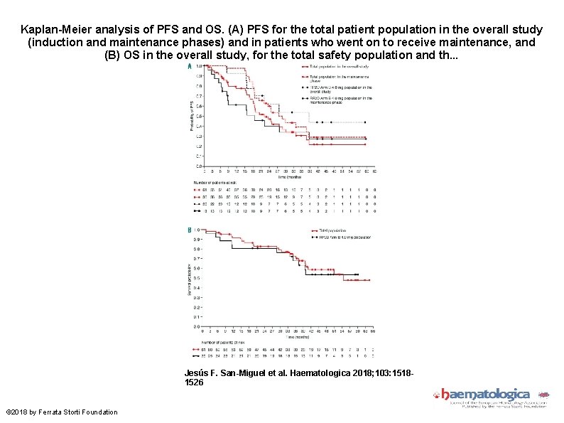 Kaplan-Meier analysis of PFS and OS. (A) PFS for the total patient population in