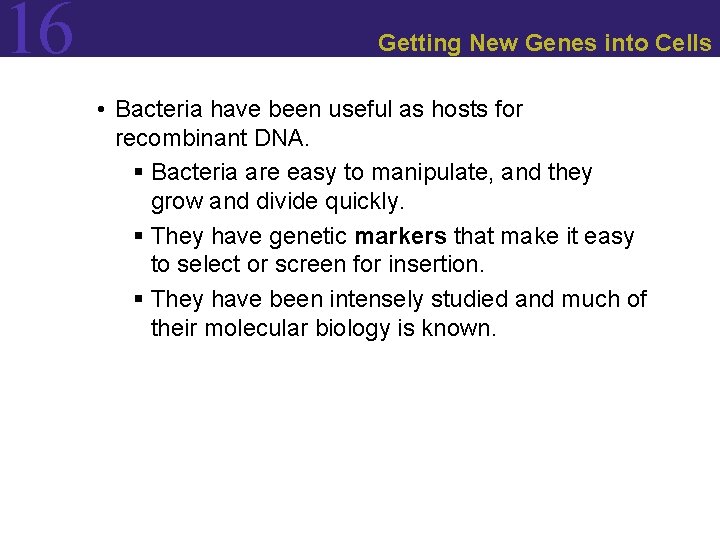 16 Getting New Genes into Cells • Bacteria have been useful as hosts for