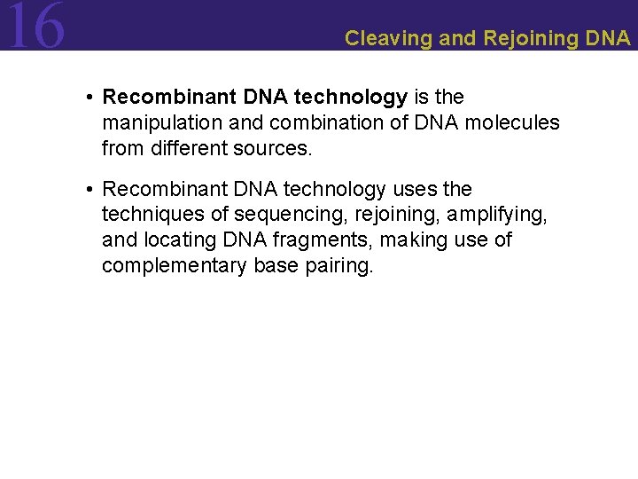 16 Cleaving and Rejoining DNA • Recombinant DNA technology is the manipulation and combination