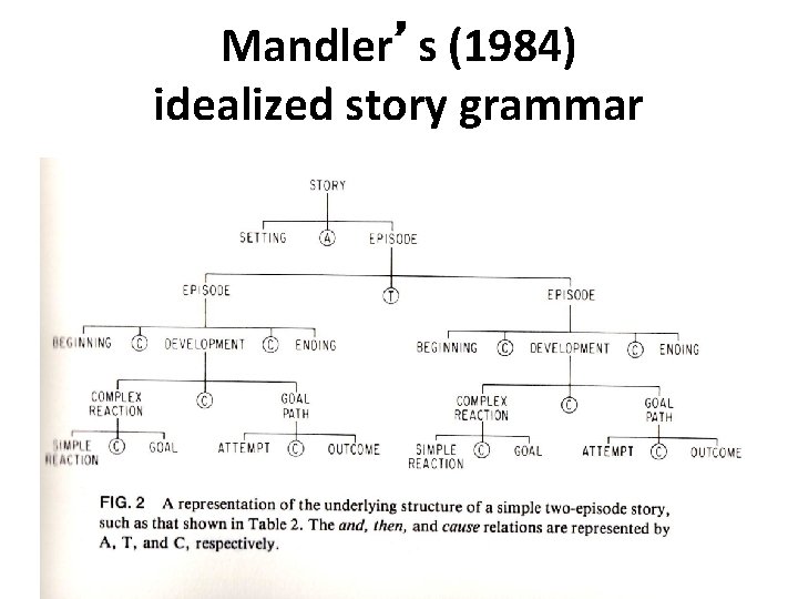 Mandler’s (1984) idealized story grammar 