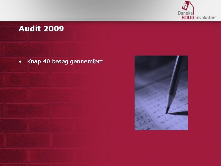 Audit 2009 • Knap 40 besøg gennemført 