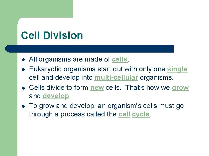 Cell Division l l All organisms are made of cells. Eukaryotic organisms start out
