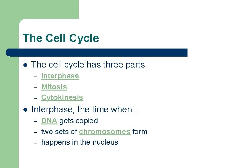 The Cell Cycle l The cell cycle has three parts – – – l