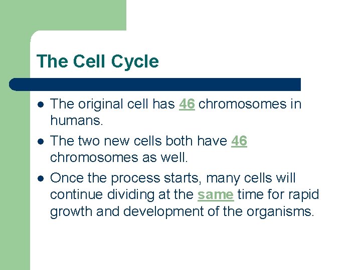 The Cell Cycle l l l The original cell has 46 chromosomes in humans.