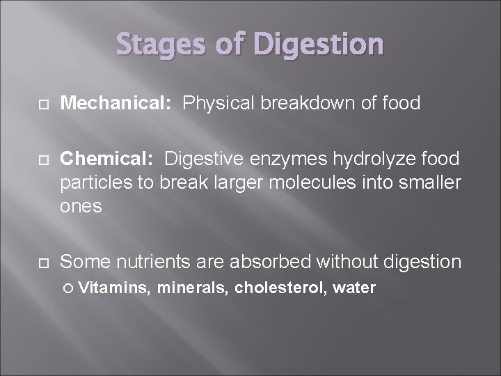 Stages of Digestion Mechanical: Physical breakdown of food Chemical: Digestive enzymes hydrolyze food particles