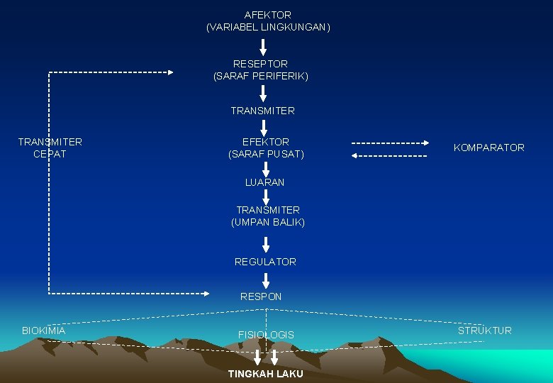 AFEKTOR (VARIABEL LINGKUNGAN) RESEPTOR (SARAF PERIFERIK) TRANSMITER CEPAT EFEKTOR (SARAF PUSAT) KOMPARATOR LUARAN TRANSMITER