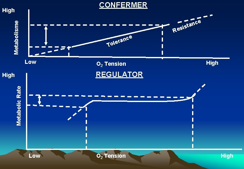 CONFERMER High e Metabolisme nc a t s i Res nce a r e