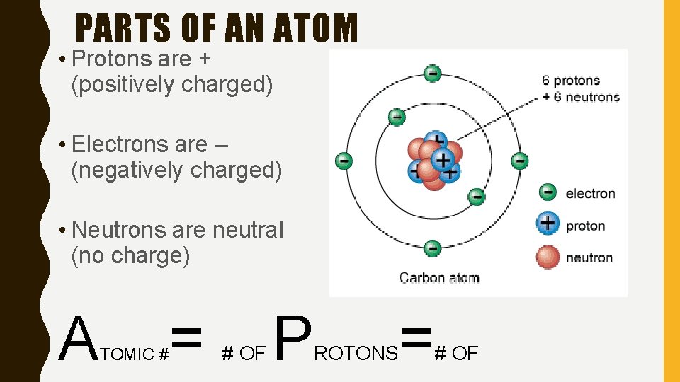 PARTS OF AN ATOM • Protons are + (positively charged) • Electrons are –