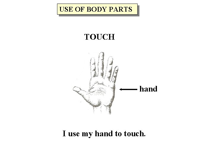 USE OF BODY PARTS TOUCH hand I use my hand to touch. 