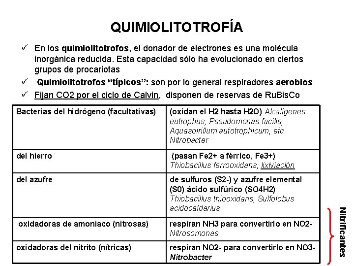 QUIMIOLITOTROFÍA ü En los quimiolitotrofos, el donador de electrones es una molécula inorgánica reducida.