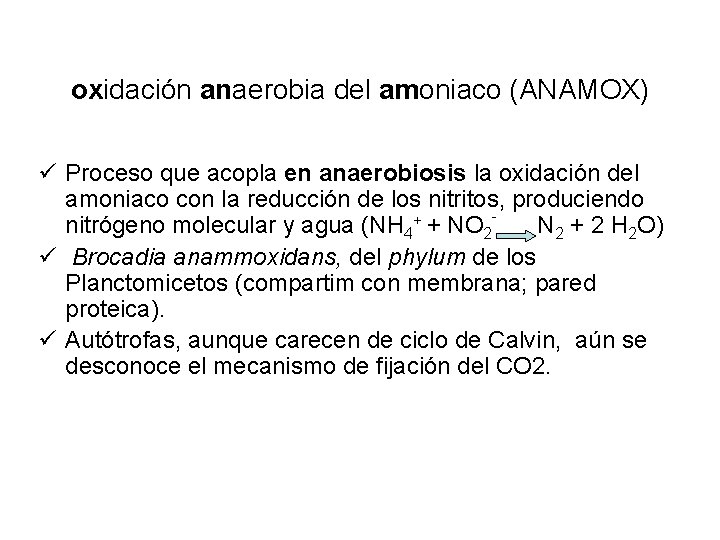 oxidación anaerobia del amoniaco (ANAMOX) ü Proceso que acopla en anaerobiosis la oxidación del