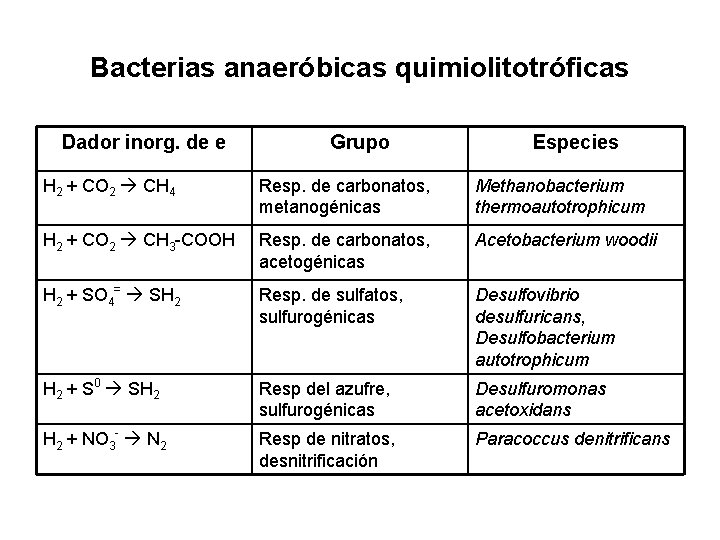 Bacterias anaeróbicas quimiolitotróficas Dador inorg. de e Grupo Especies H 2 + CO 2