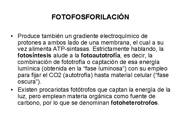 FOTOFOSFORILACIÓN • Produce también un gradiente electroquímico de protones a ambos lado de una