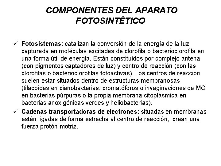 COMPONENTES DEL APARATO FOTOSINTÉTICO ü Fotosistemas: catalizan la conversión de la energía de la