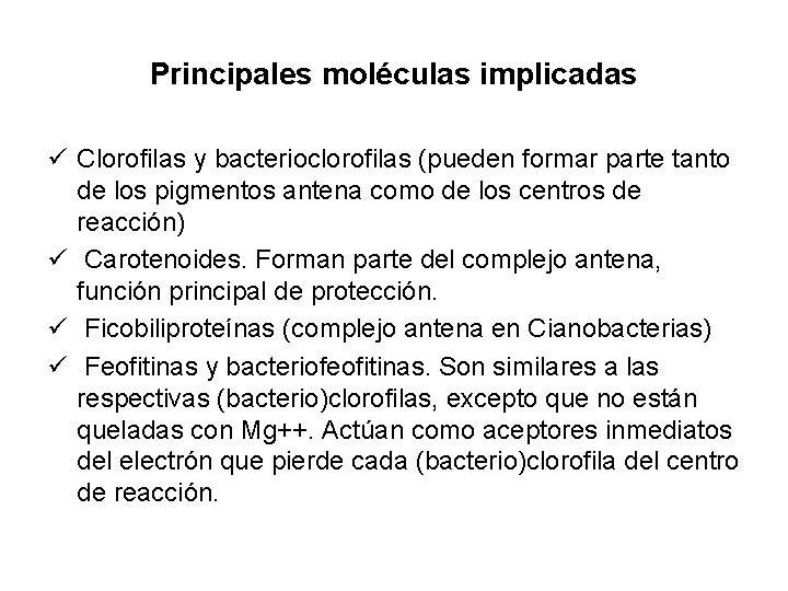 Principales moléculas implicadas ü Clorofilas y bacterioclorofilas (pueden formar parte tanto de los pigmentos