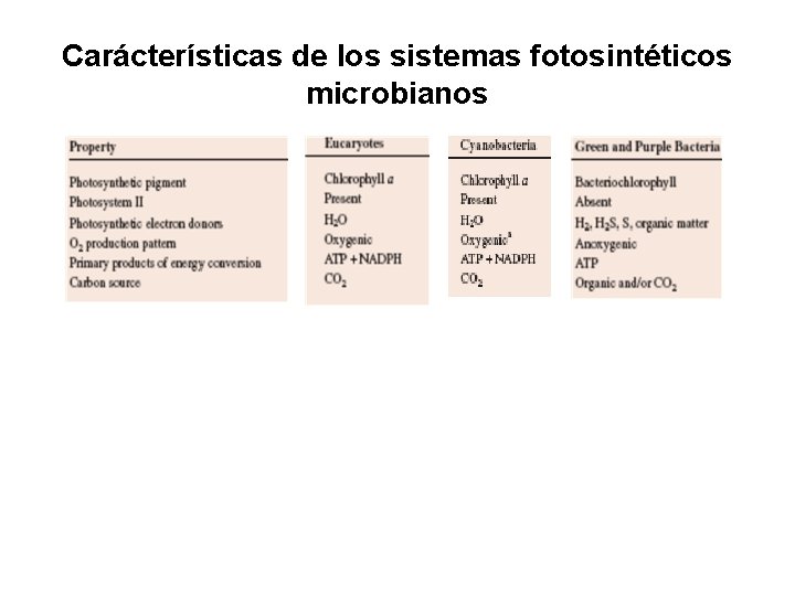 Carácterísticas de los sistemas fotosintéticos microbianos 