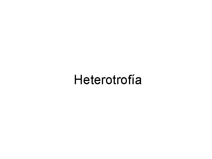 Heterotrofía 