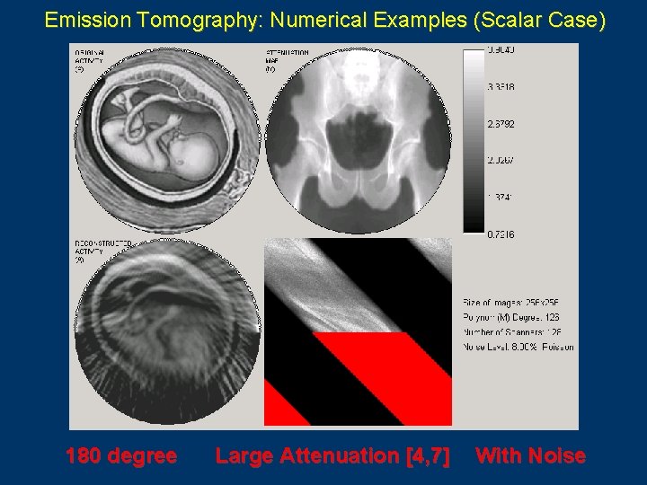 Emission Tomography: Numerical Examples (Scalar Case) 180 degree Large Attenuation [4, 7] With Noise