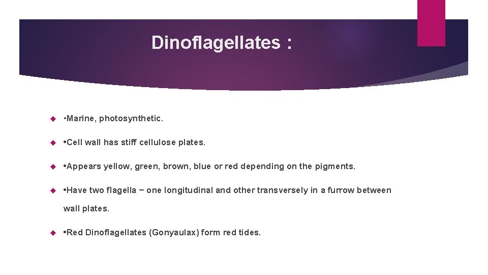 Dinoflagellates : • Marine, photosynthetic. • Cell wall has stiff cellulose plates. • Appears