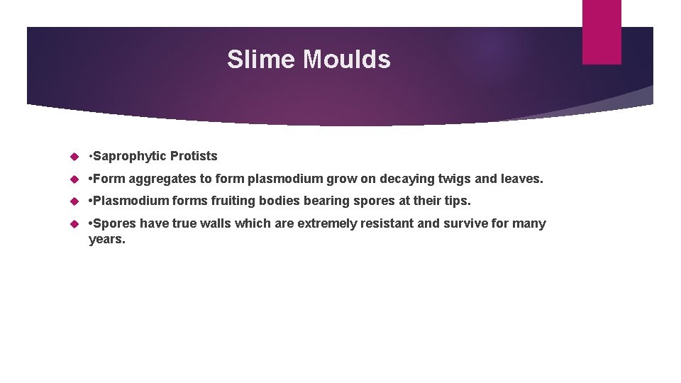 Slime Moulds • Saprophytic Protists • Form aggregates to form plasmodium grow on decaying