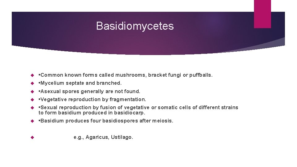 Basidiomycetes • Common known forms called mushrooms, bracket fungi or puffballs. • Mycelium septate