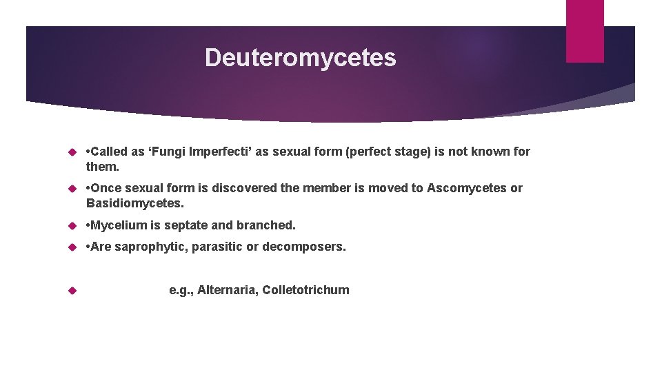 Deuteromycetes • Called as ‘Fungi Imperfecti’ as sexual form (perfect stage) is not known