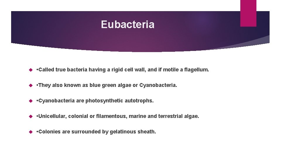 Eubacteria • Called true bacteria having a rigid cell wall, and if motile a