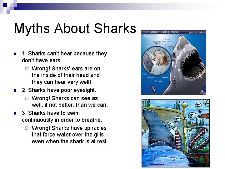 Myths About Sharks n n n 1. Sharks can’t hear because they don’t have